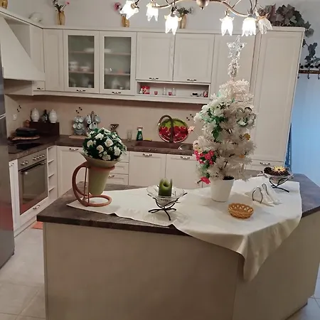 Agalia House Neon Roino