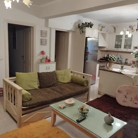 Agalia House * Neon Roino